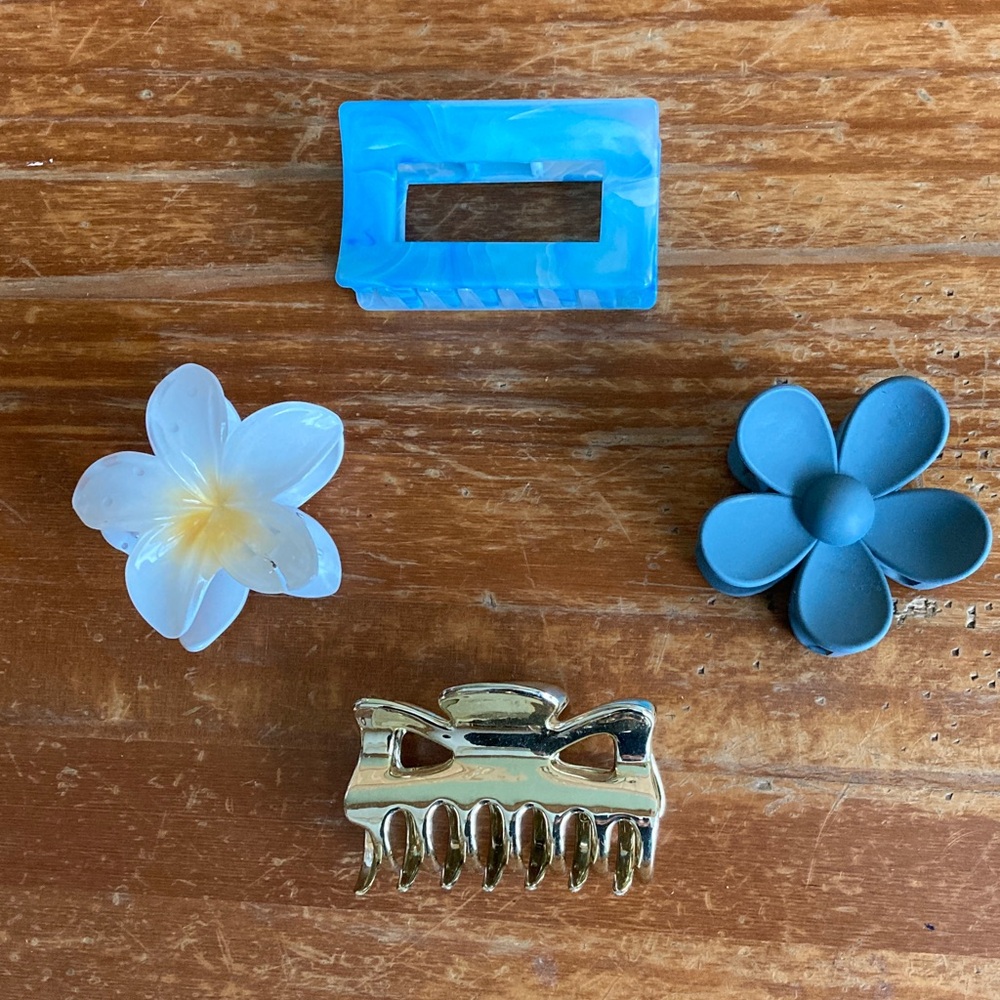 Set of 4 Assorted Hair Clips